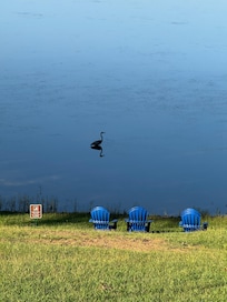 Lake life.