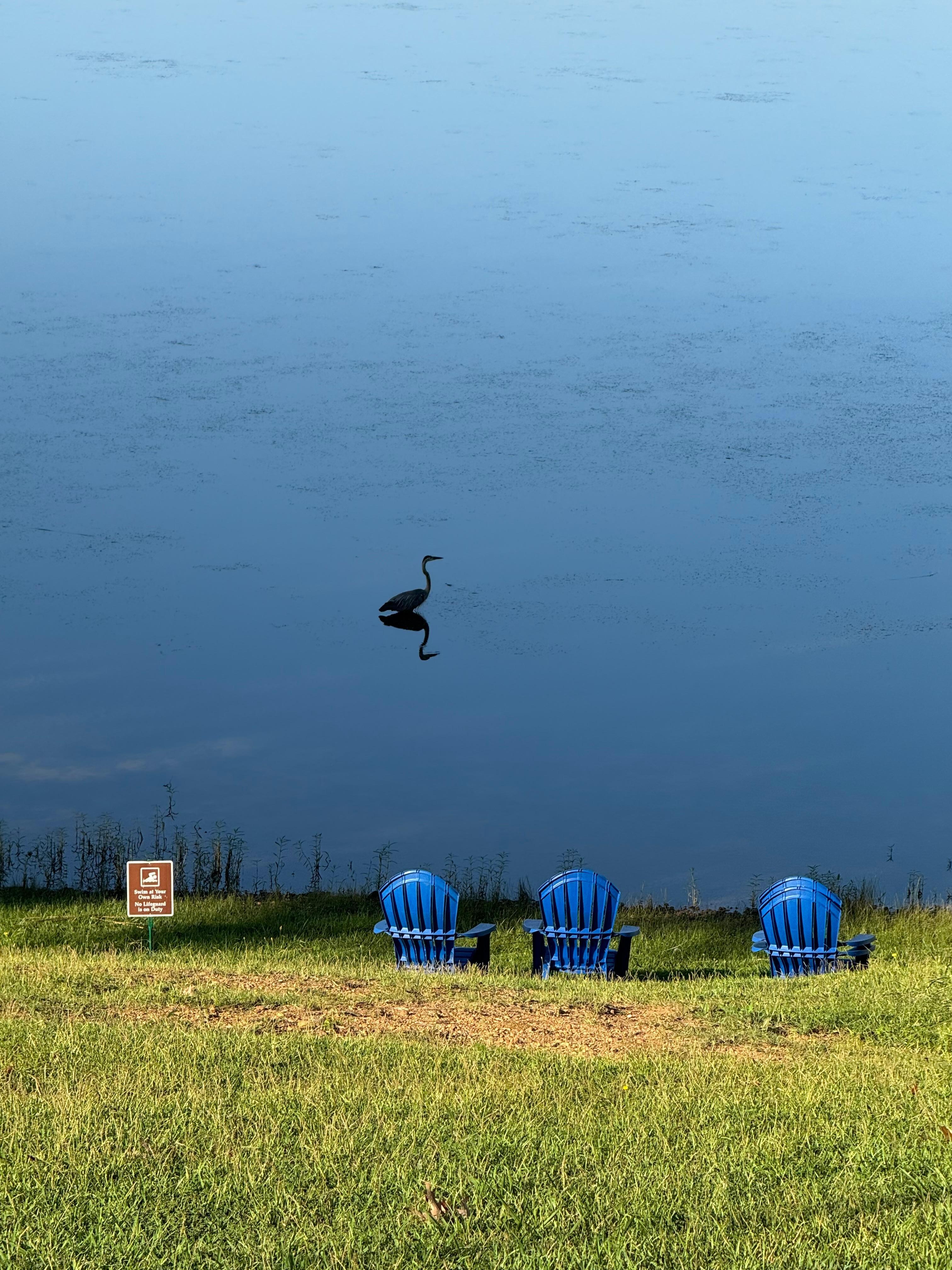 Lake life. 