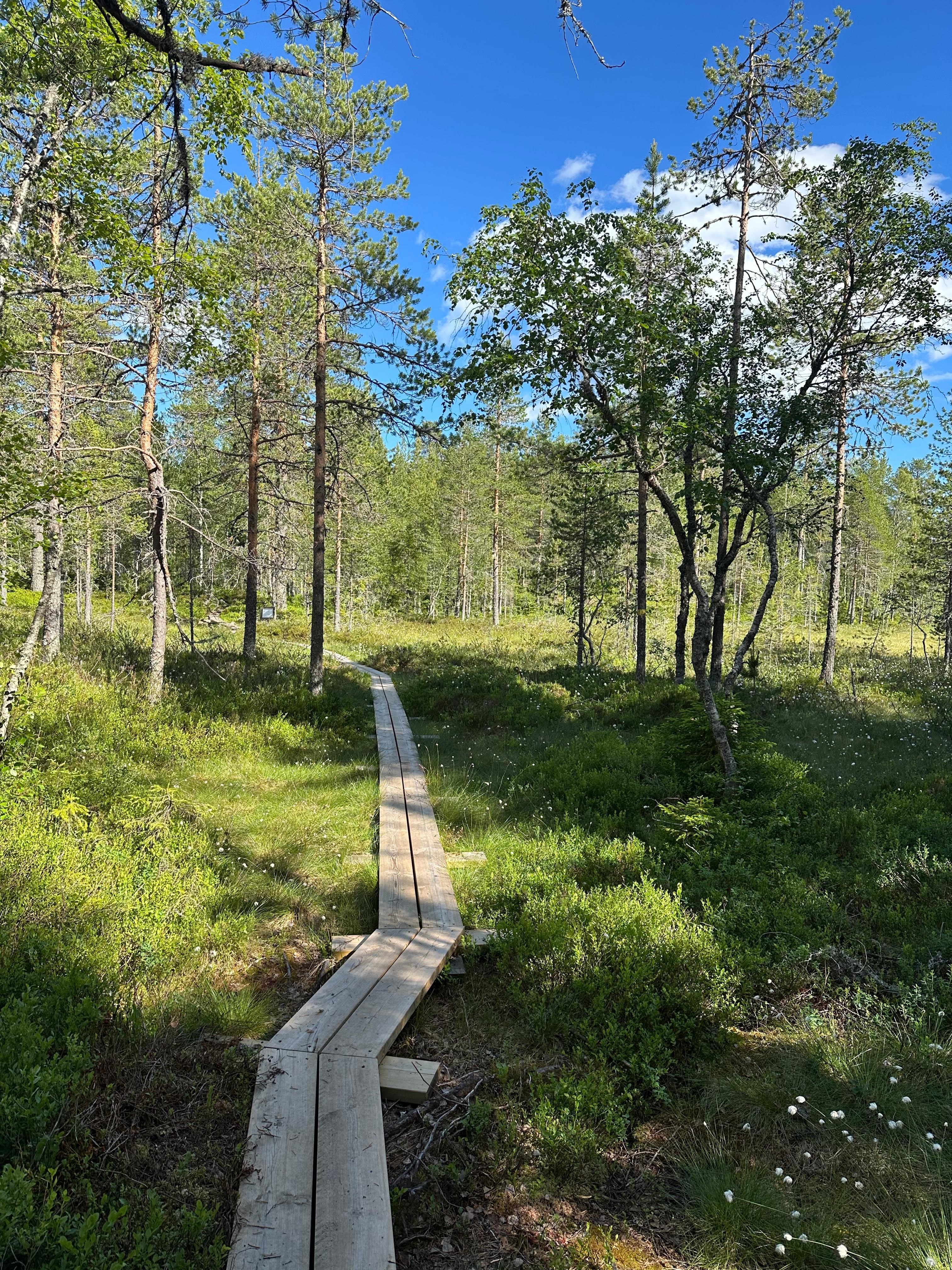 Vacker vandringsled runt sjön. 