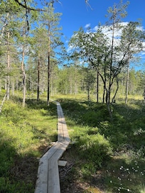 Vacker vandringsled runt sjön.