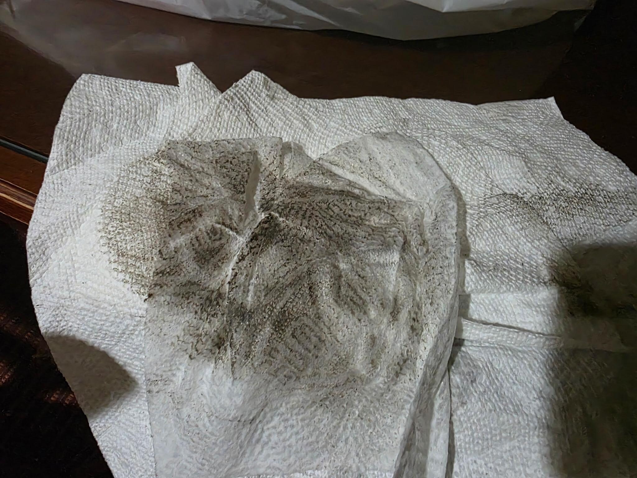 Dirt from the floors