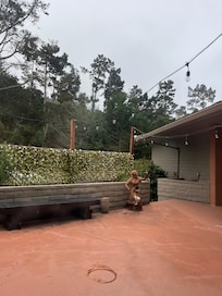 Patio outside of room