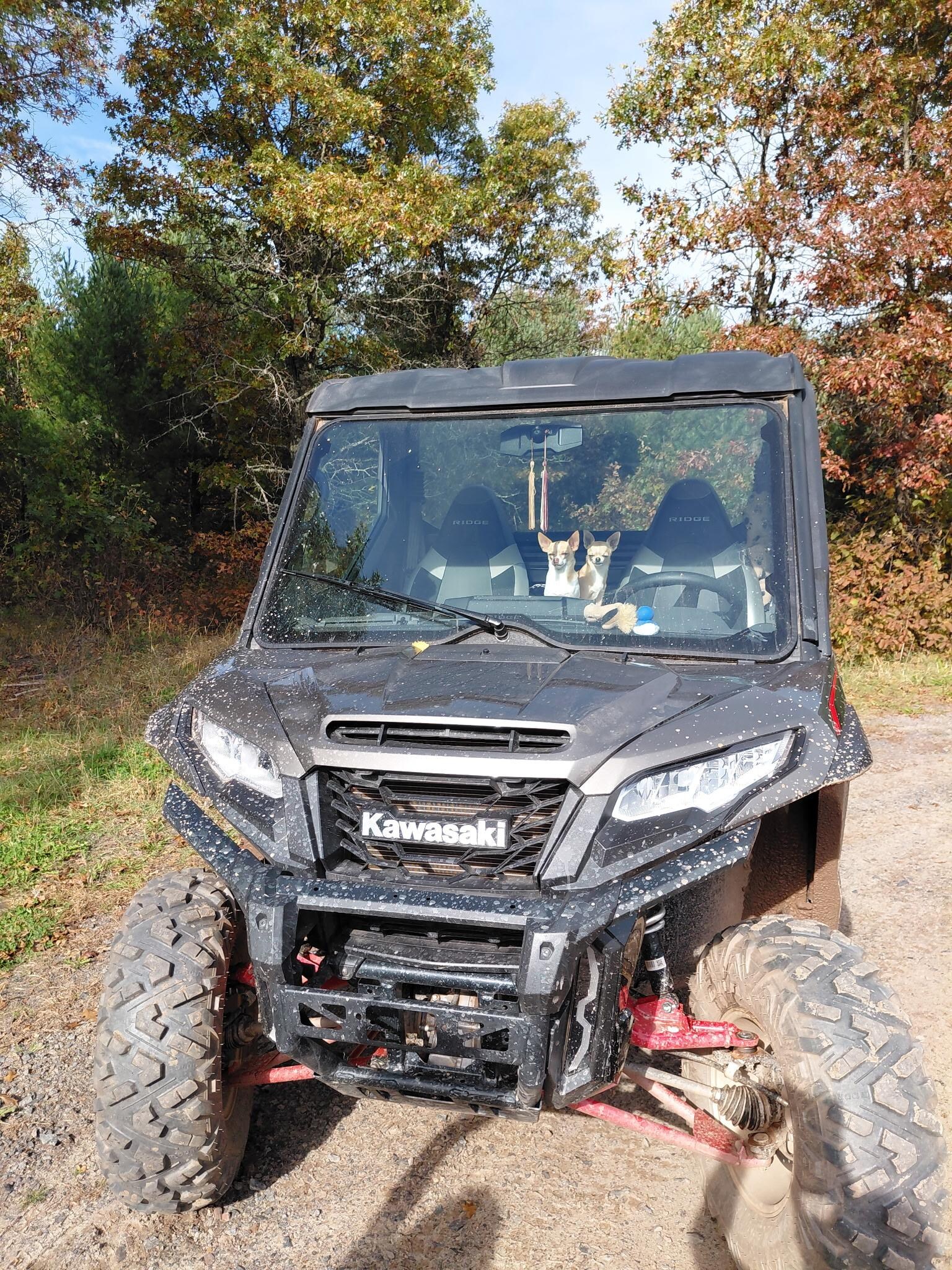 Miguel and Rosie enjoying the day because of our stay at Americinn inn.