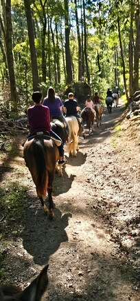 Cades Cove Riding Stables, horseback riding was awesome!