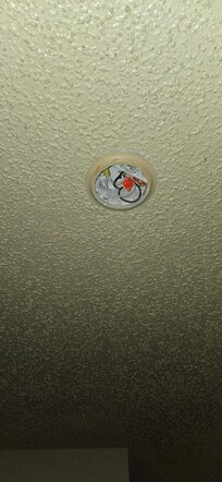 No smoke detector, exposed live wires