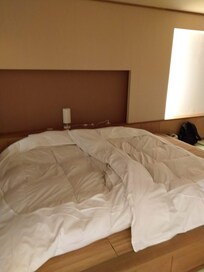 requested for a double bed, they combined 2 twin beds in 1 bed sheet, cool
