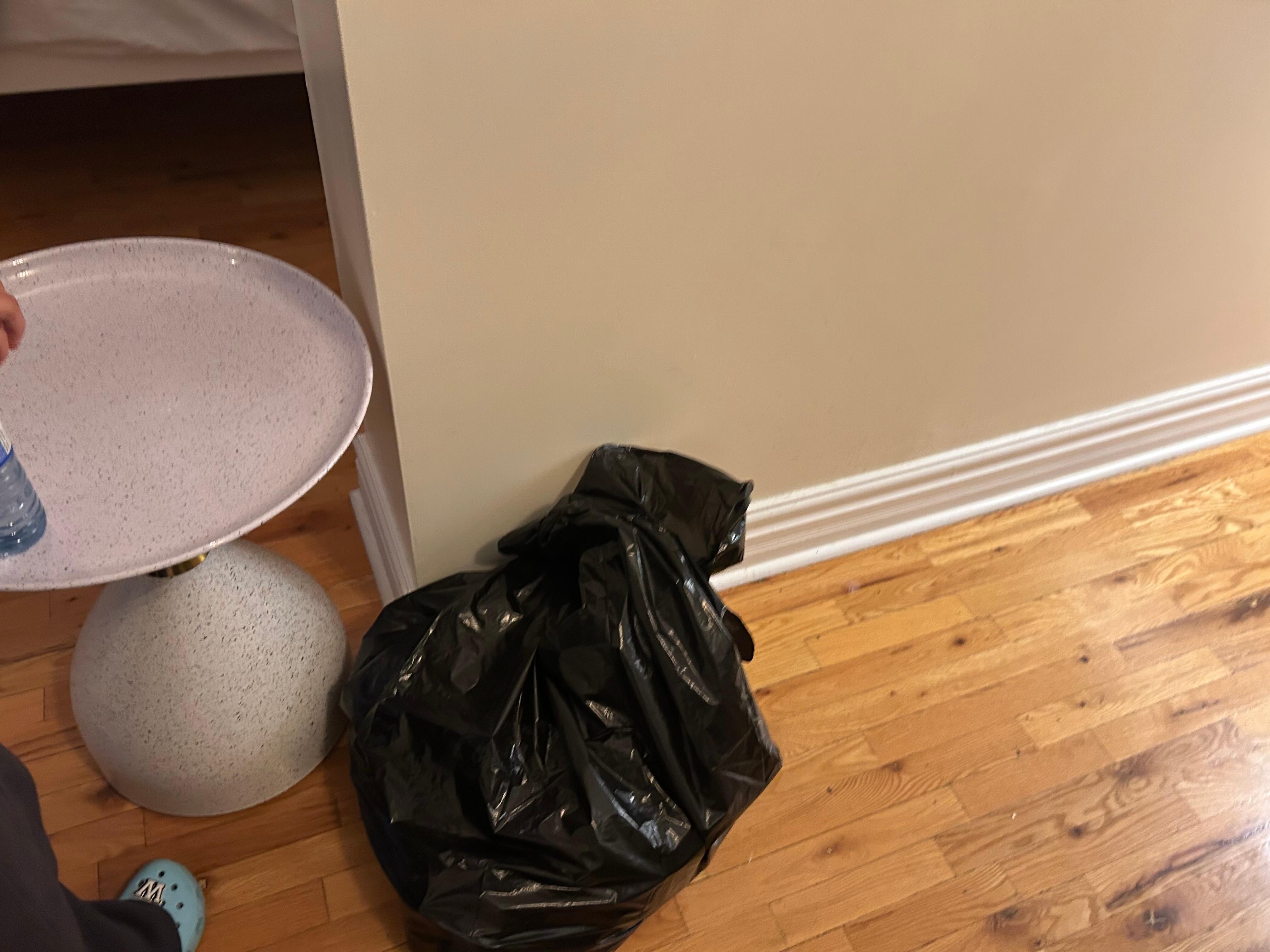 Garbage bag in the room