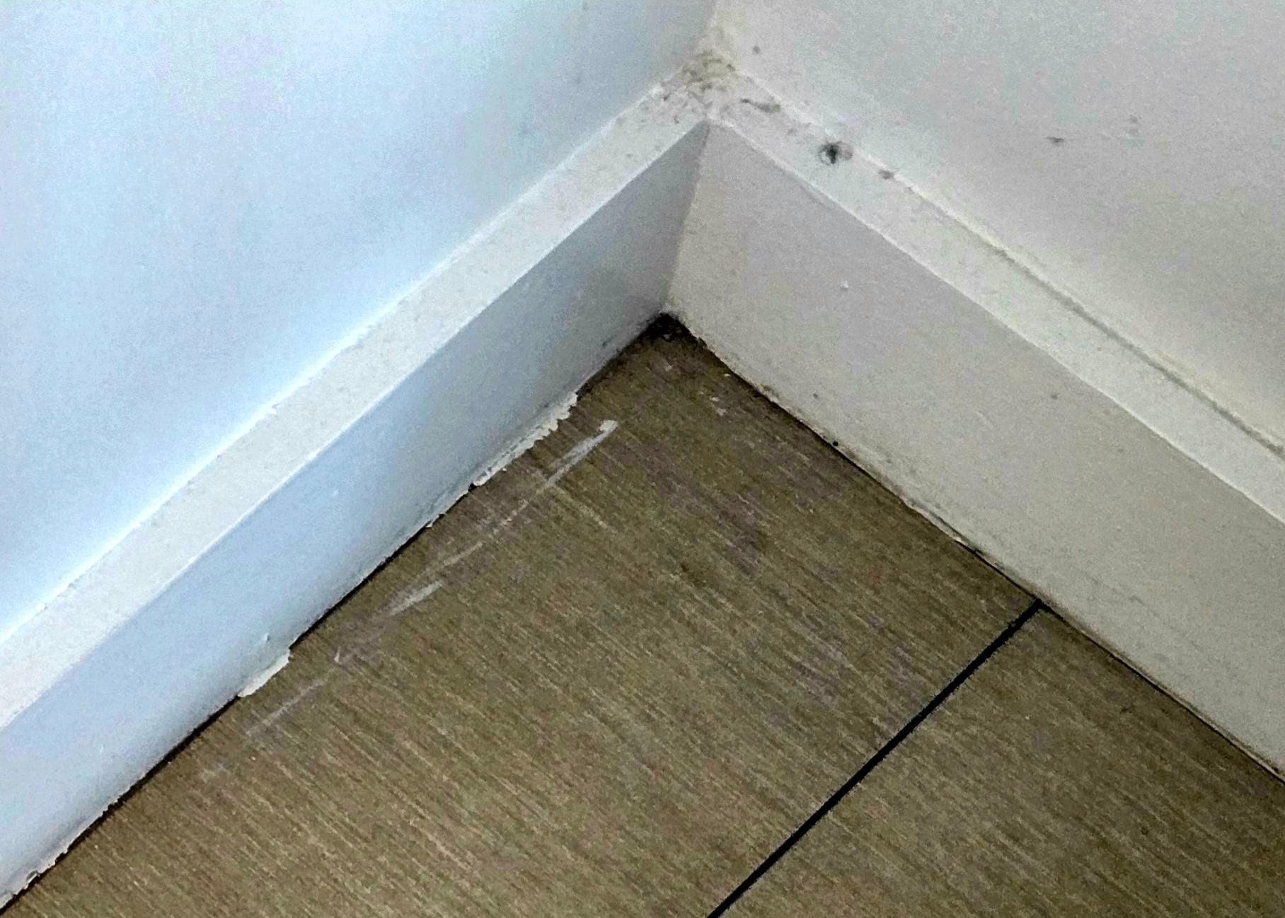 Trim throughout the entire condo looked like this. 