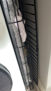 Kennel and pup hair
