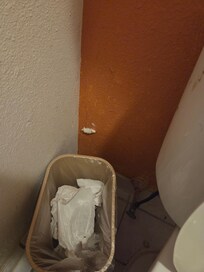 Toilet paper wad on wall