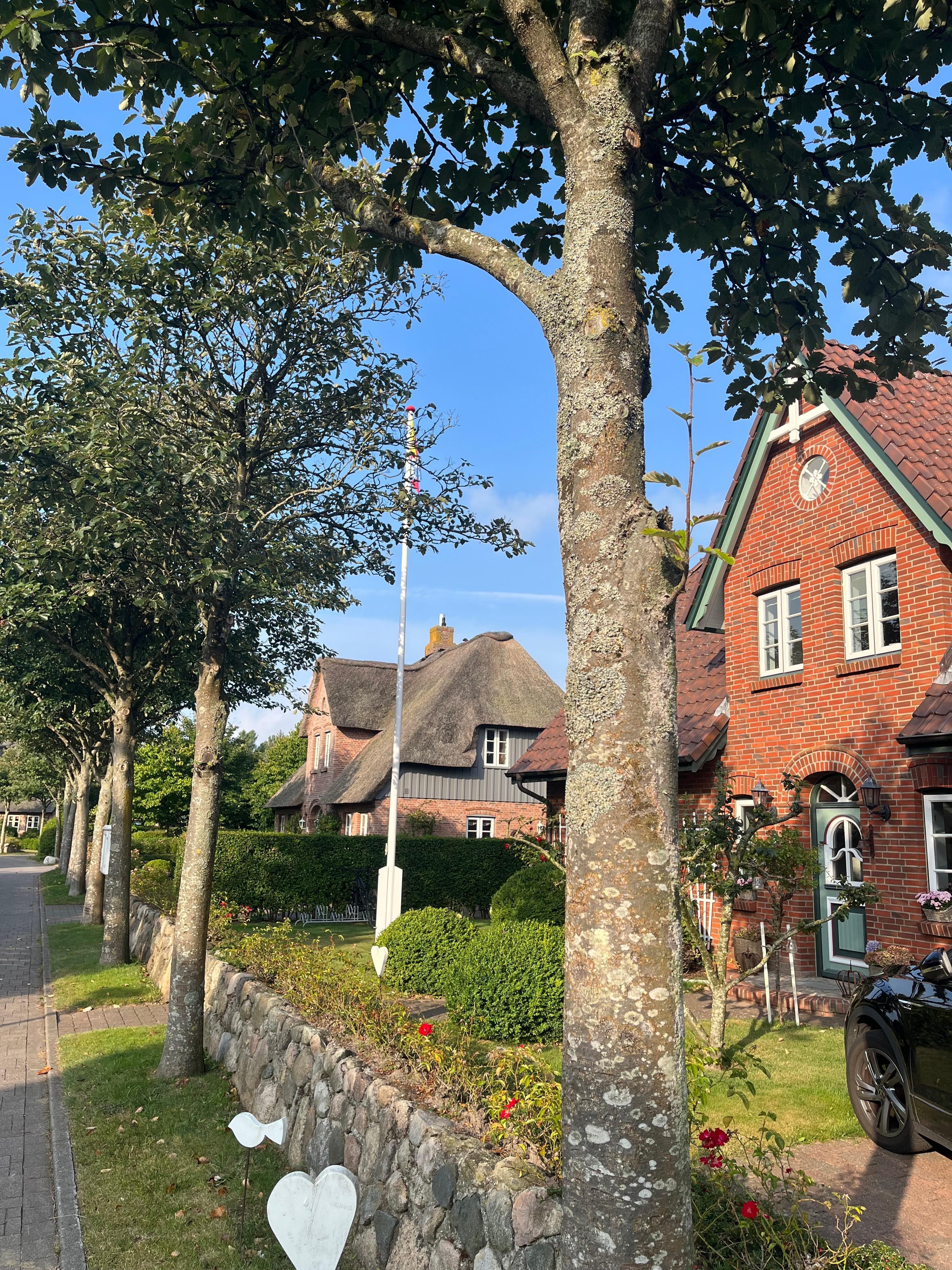 Schönstes Haus auf Föhr. ;-)