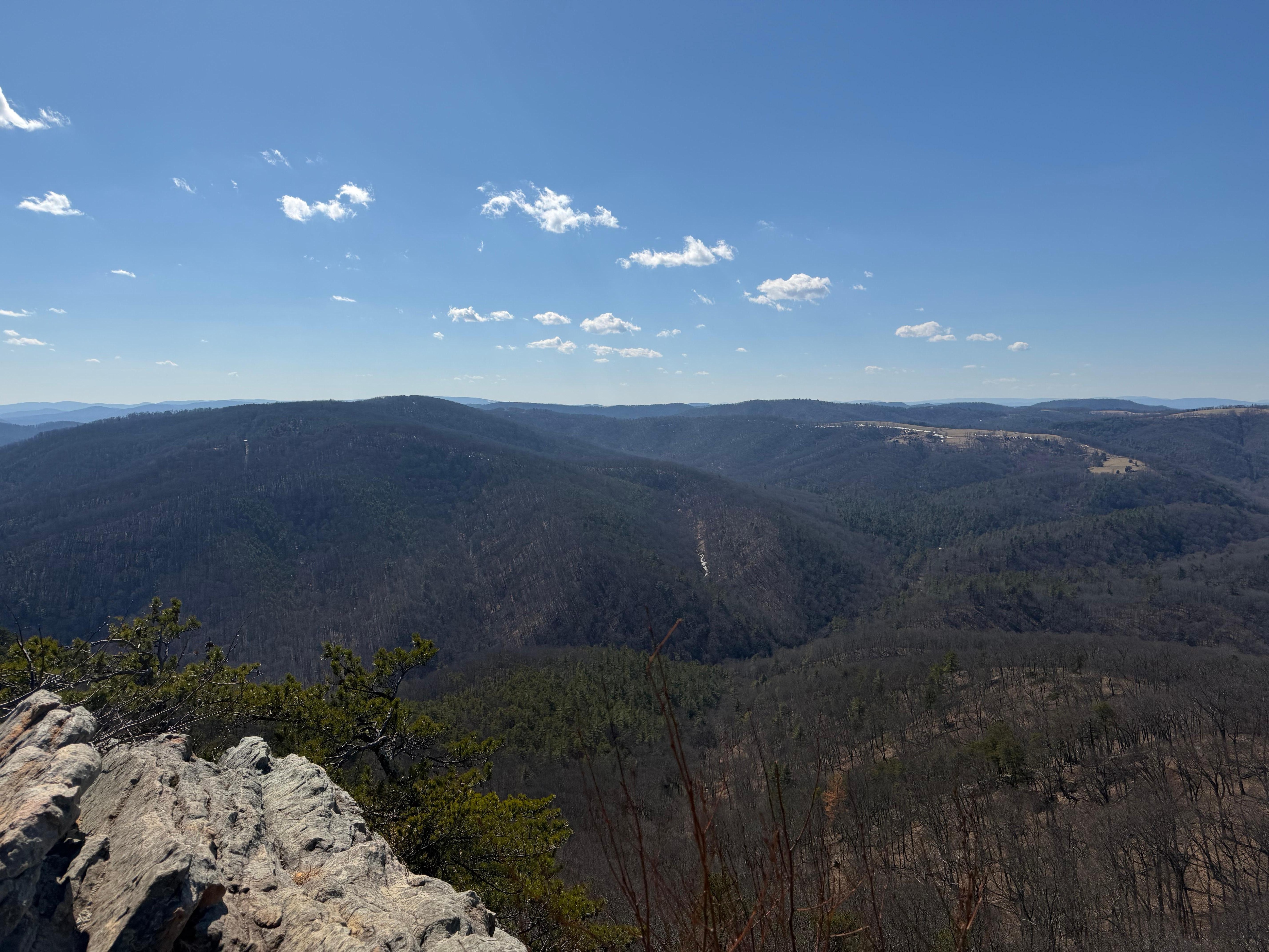 White Oak Trail at Lost River State Park.