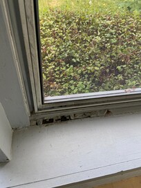 Failing window caulking