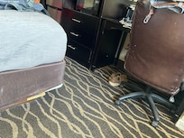Desk chair and end of bed