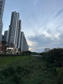호텔 인근