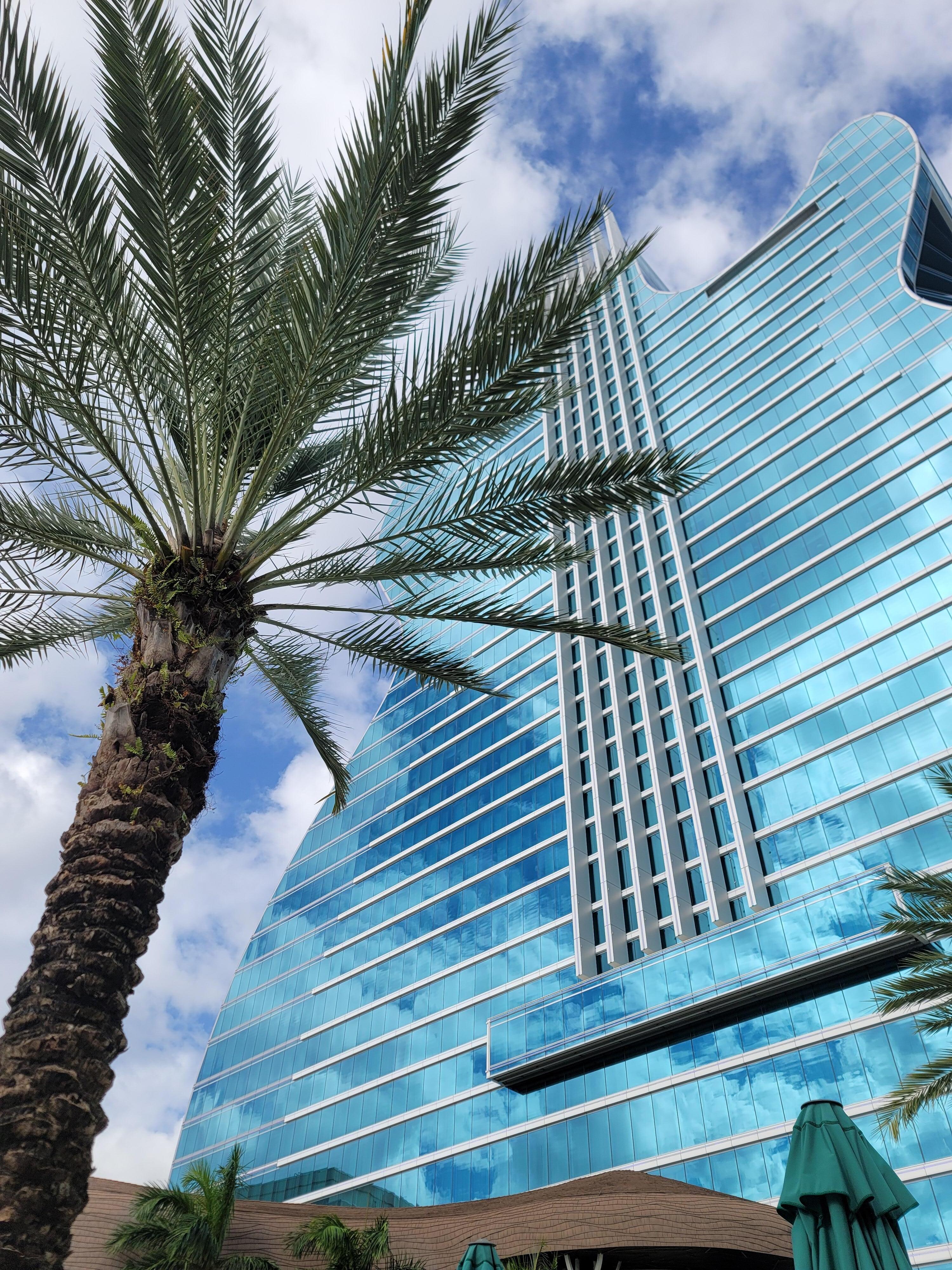 Book The Guitar Hotel at Seminole Hard Rock in Fort Lauderdale Book The Guitar Hotel at Seminole Hard Rock in Fort Lauderdale