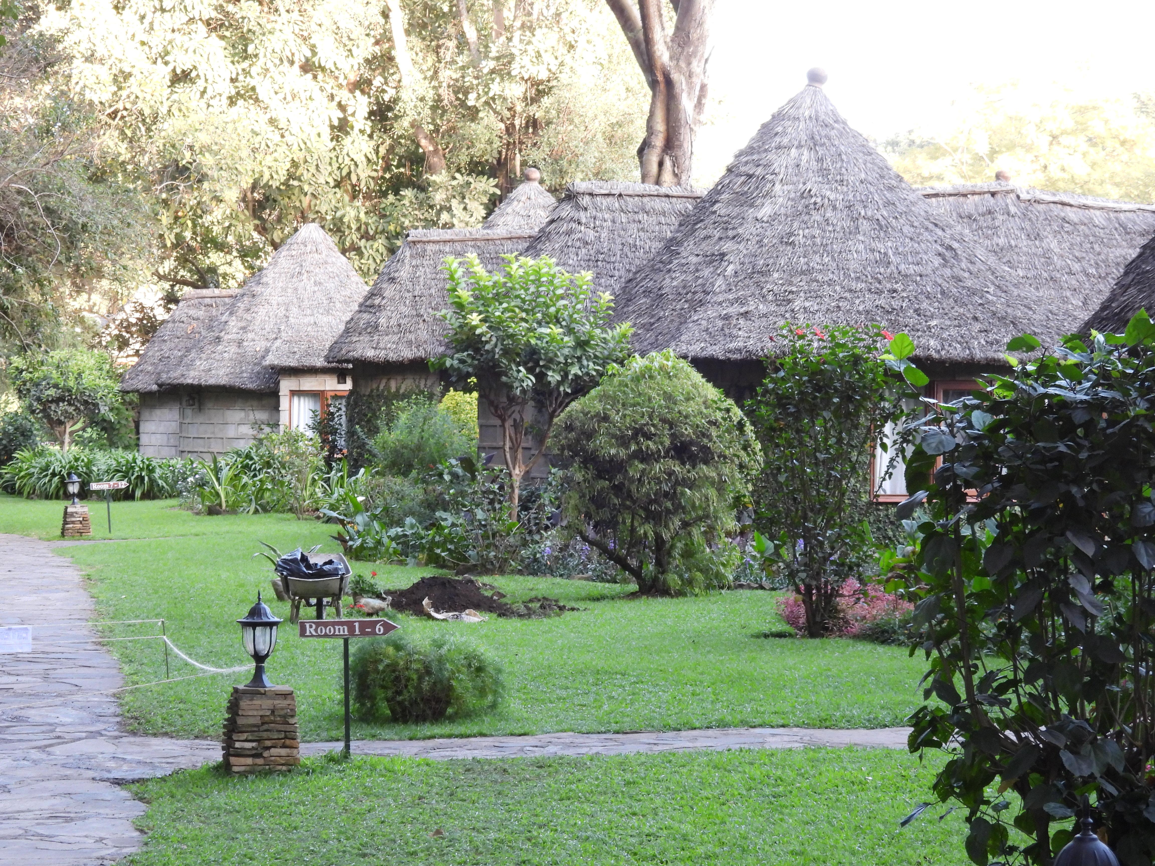 Beautiful Bungalows!