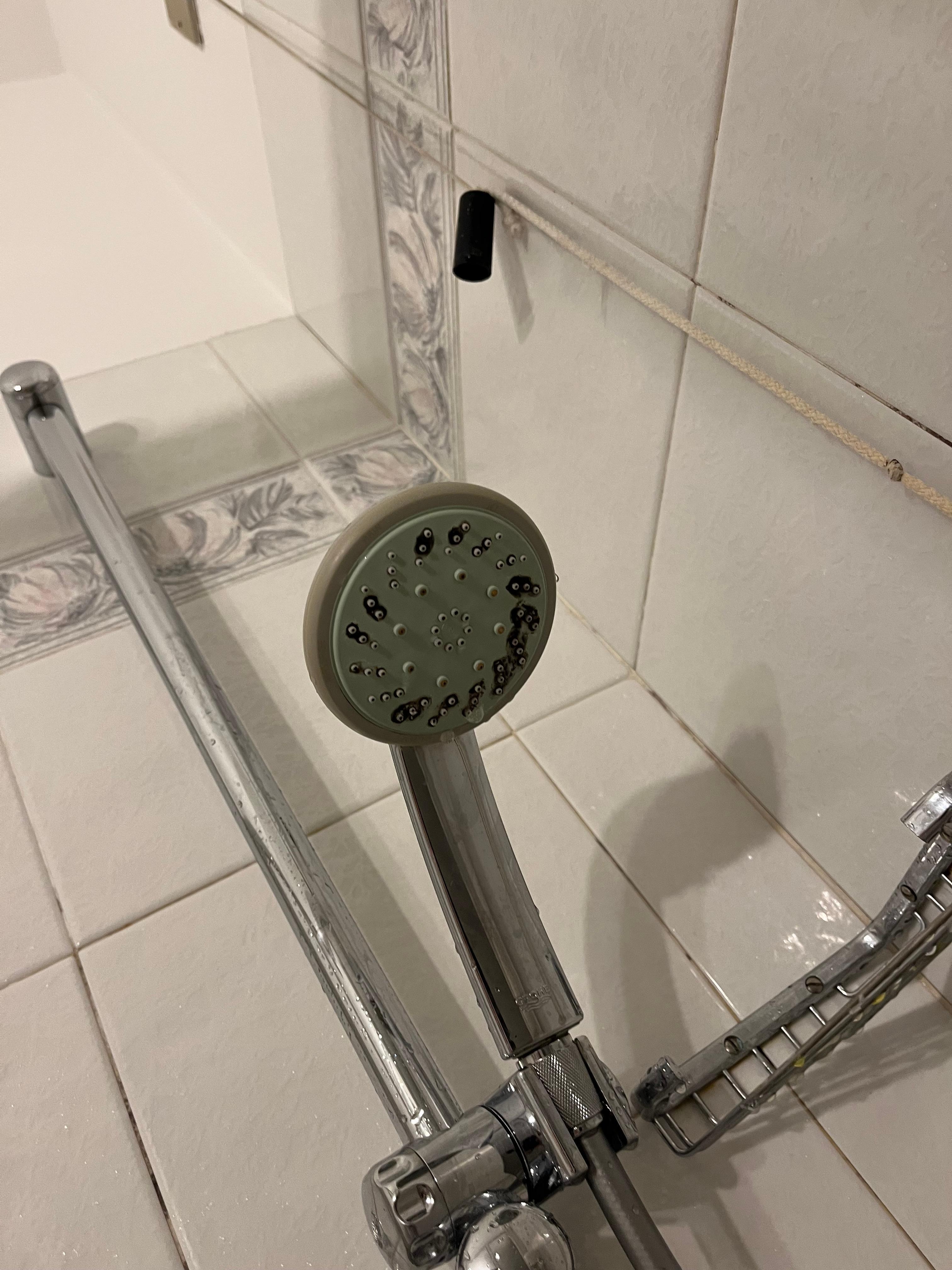 Showerhead