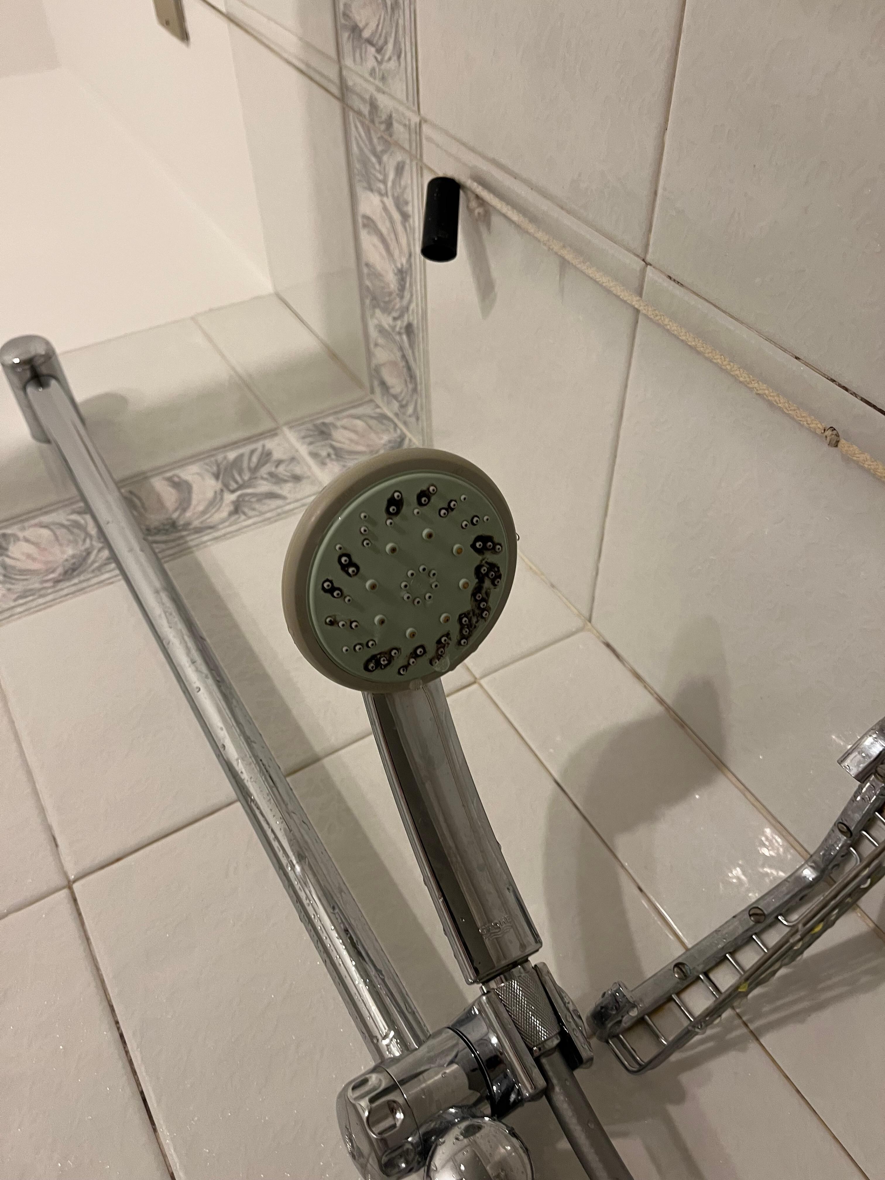 Showerhead