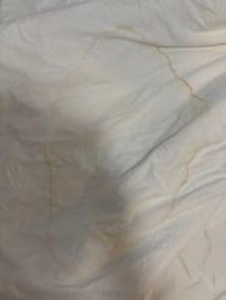 Pee stain when I pulled back the comforter!