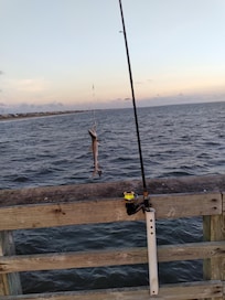 My big catch