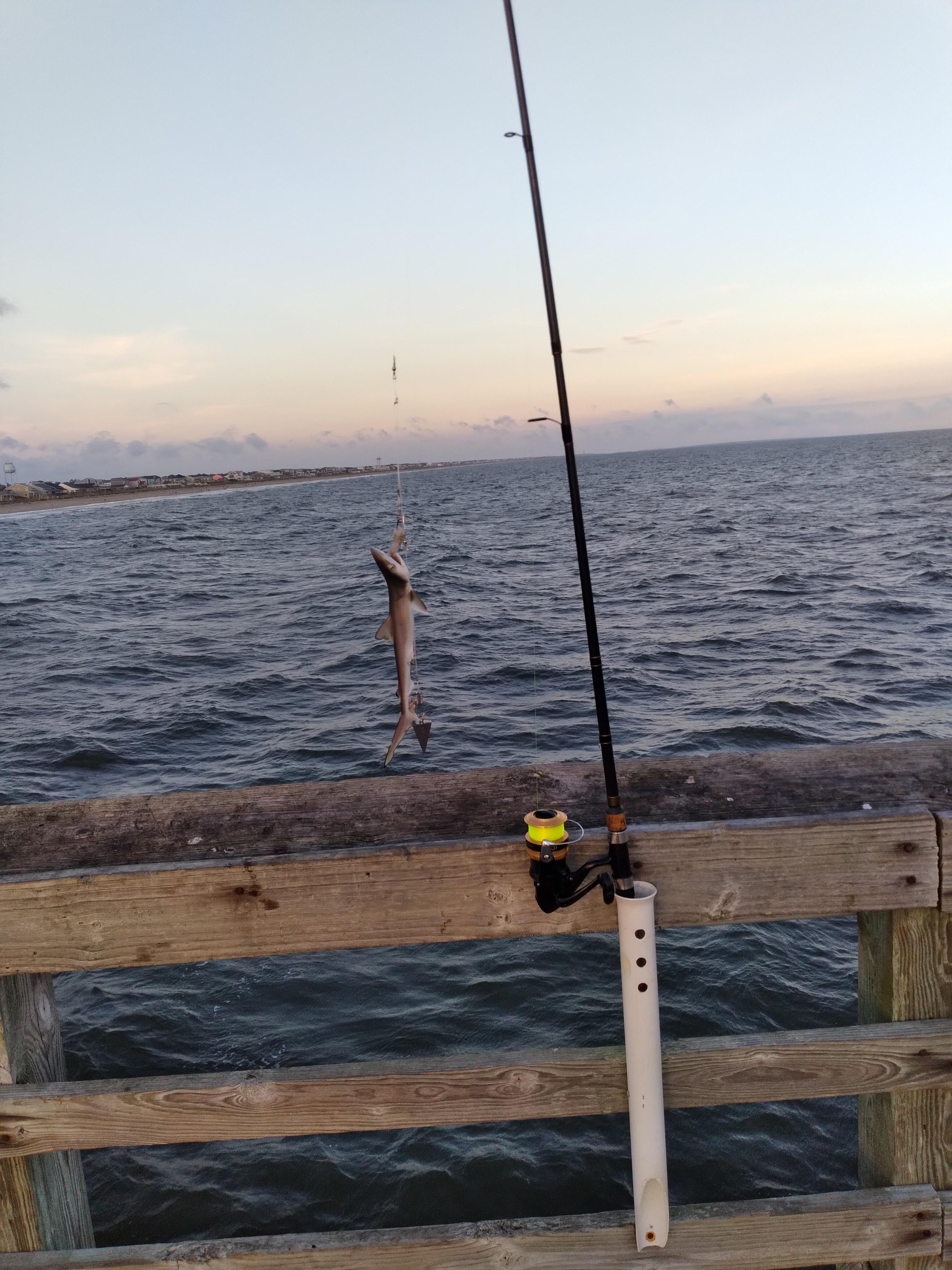 My  big catch 