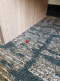 Objeto pequeño desconocido debajo de la mesa de TV en la sala