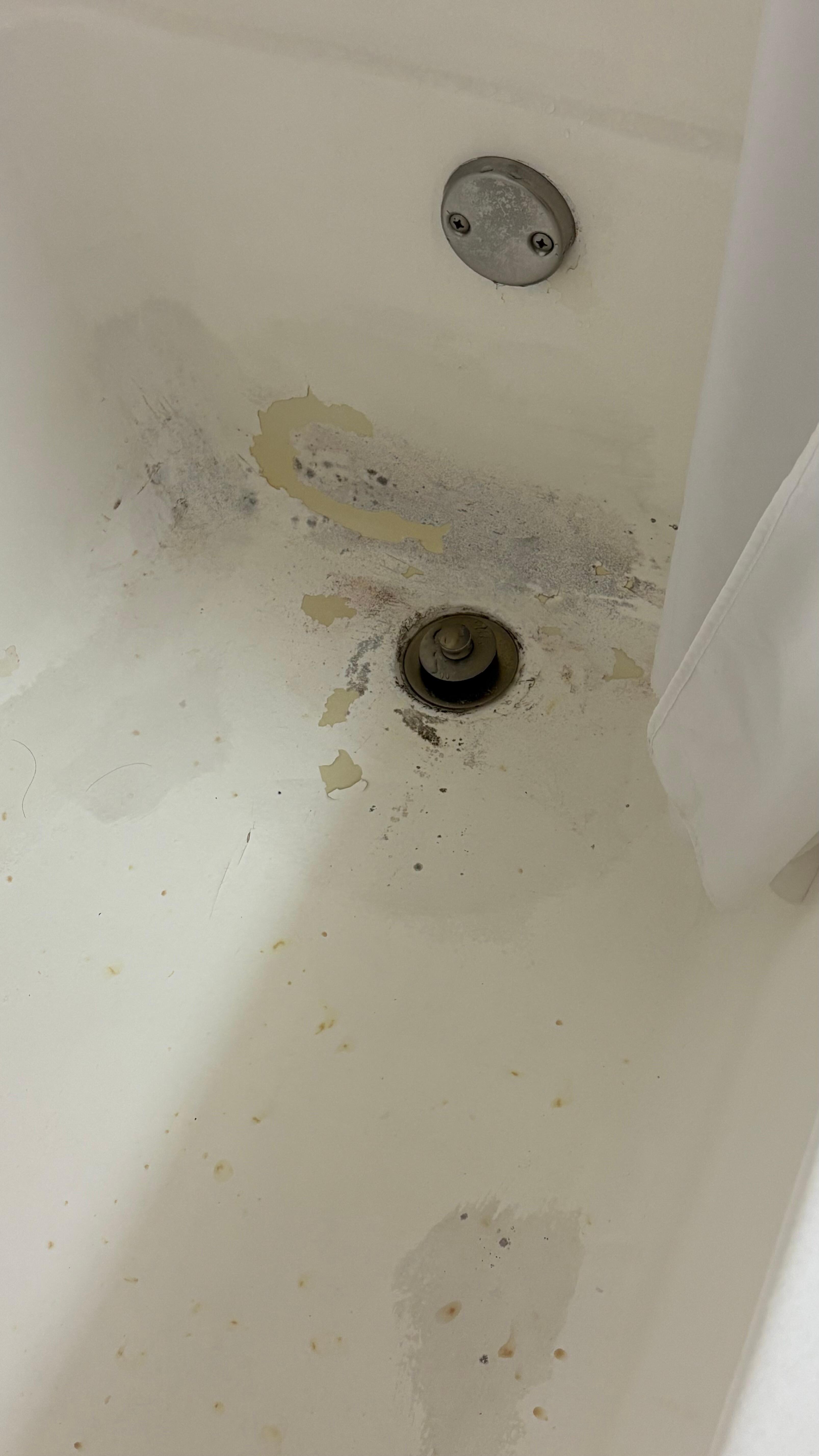 The gross-looking bathtub.