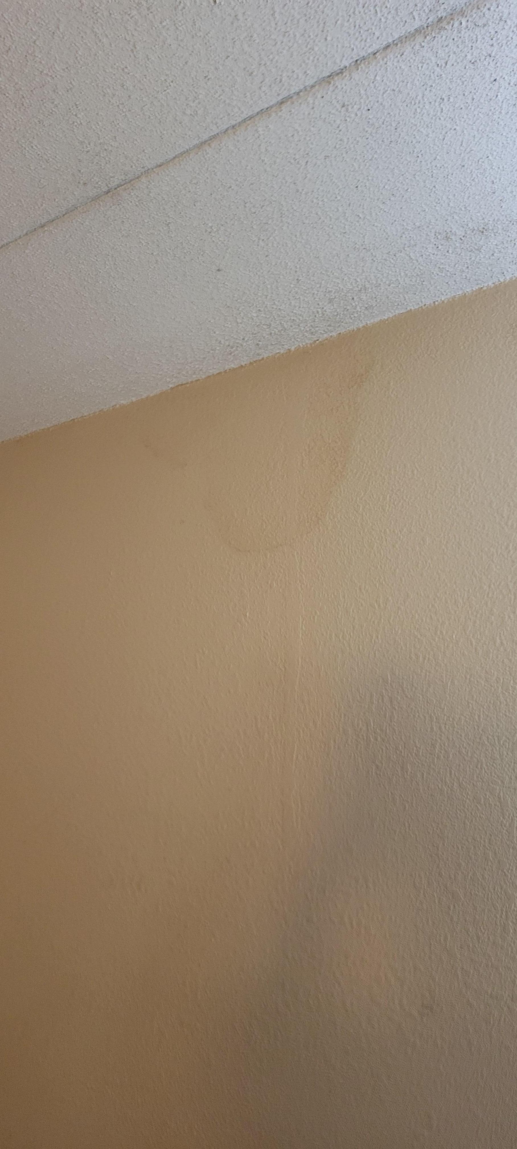 Something leaking from the ceiling 
