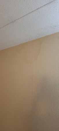 Something leaking from the ceiling