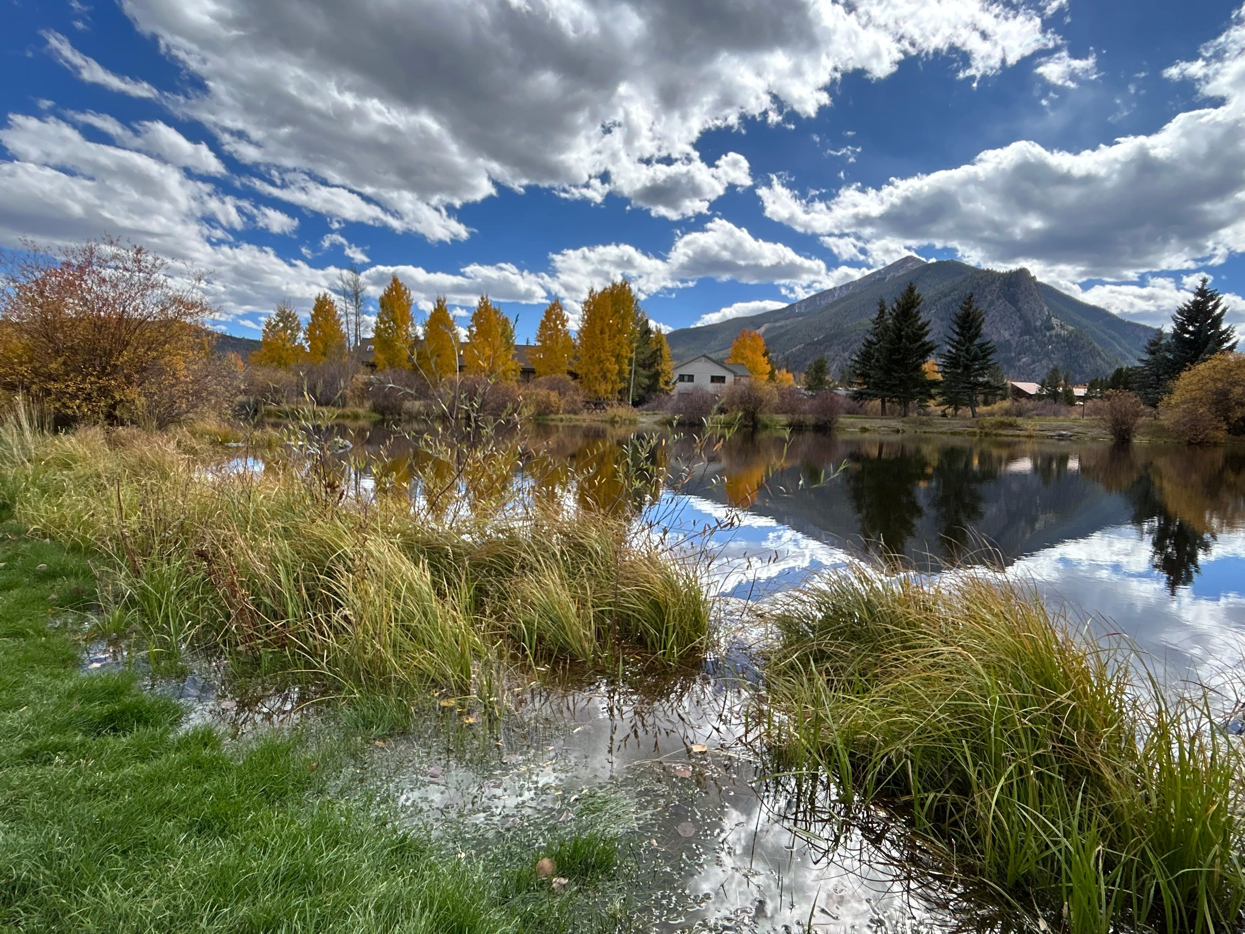 View at Meadow park -easy walk from the house 