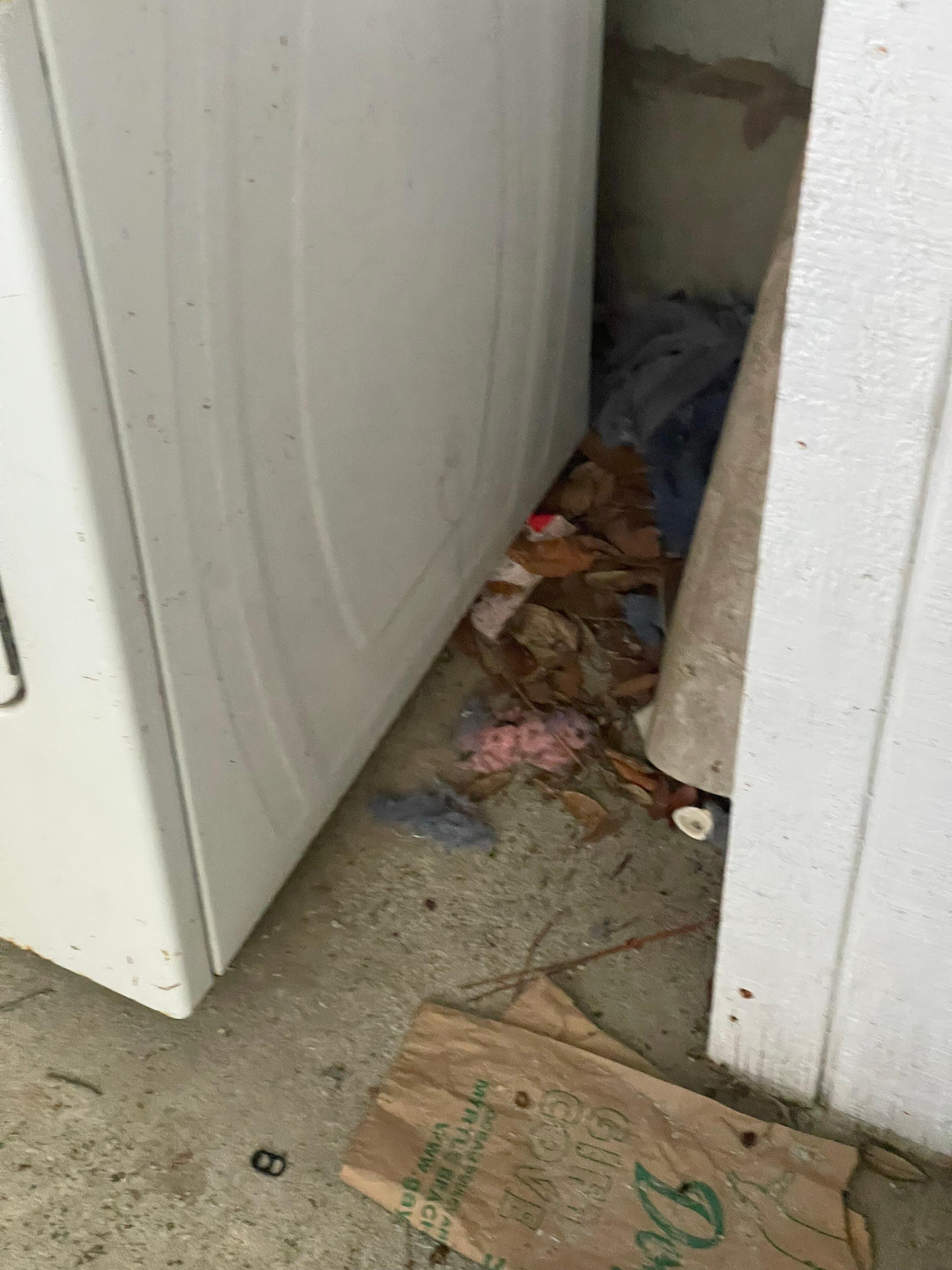 lent and leafs piled up around the dryer and 220 receptacle. 