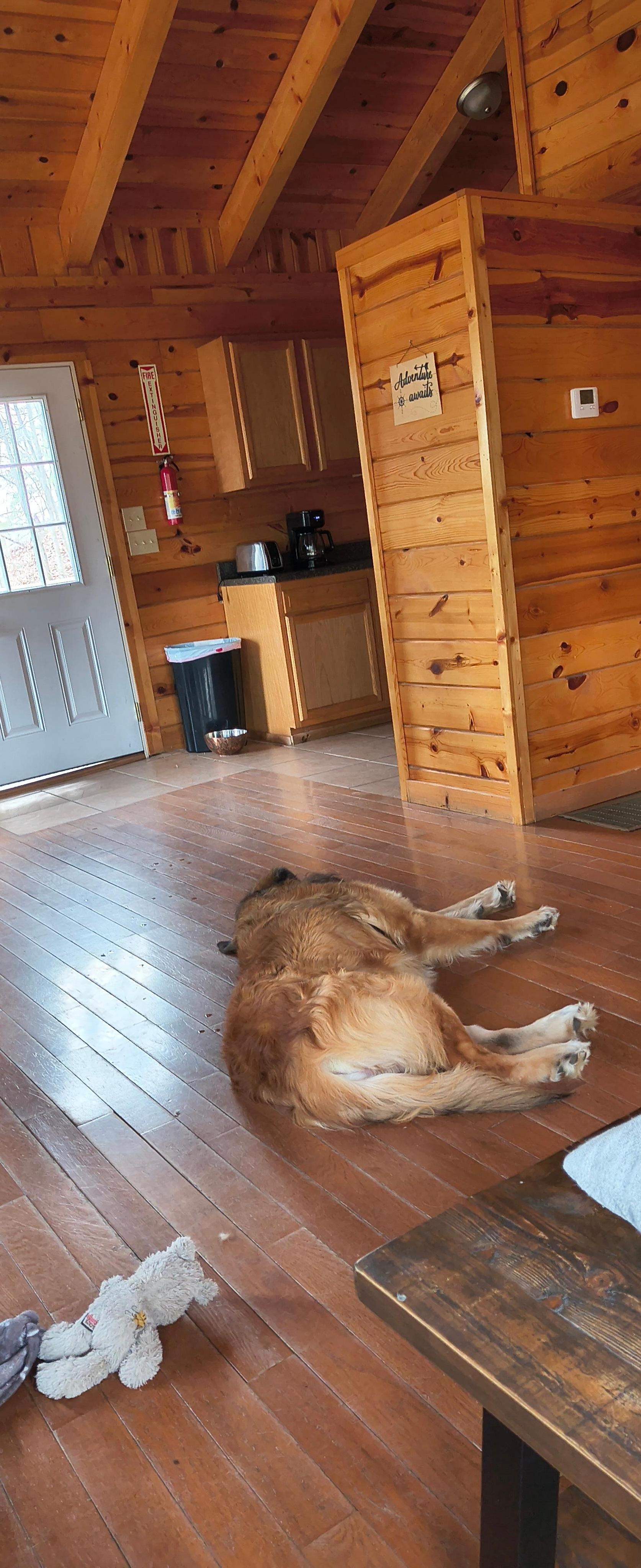 He was super relaxed and loved it