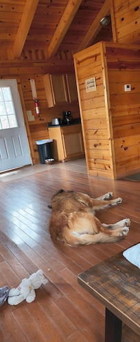 He was super relaxed and loved it