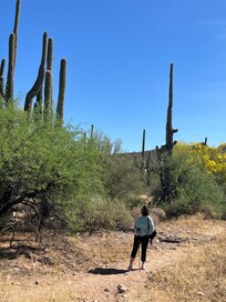 Trails near Pebble Beach Recreation