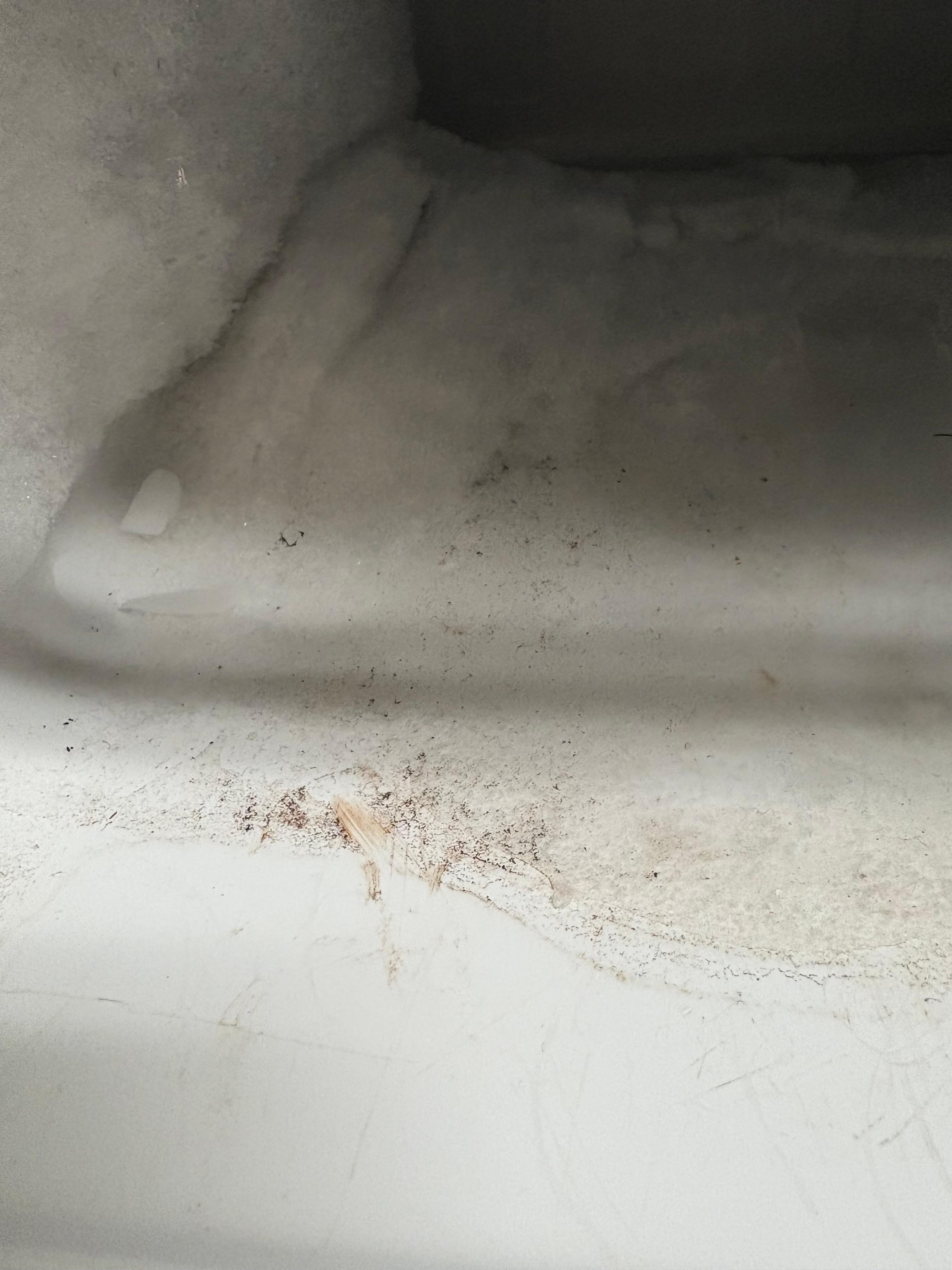 Dirty appliances 