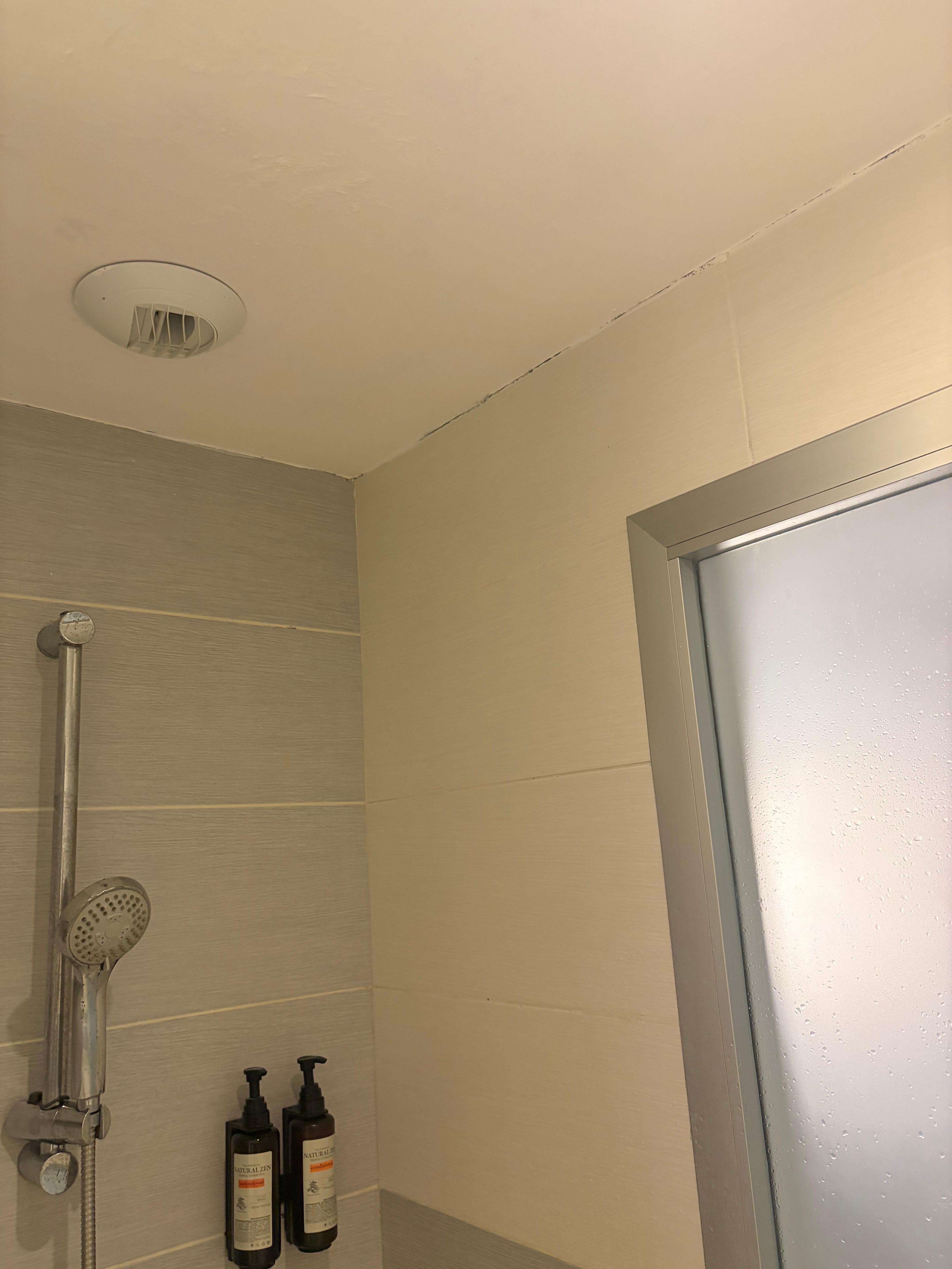 Mold in the bathroom
