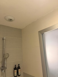 Mold in the bathroom