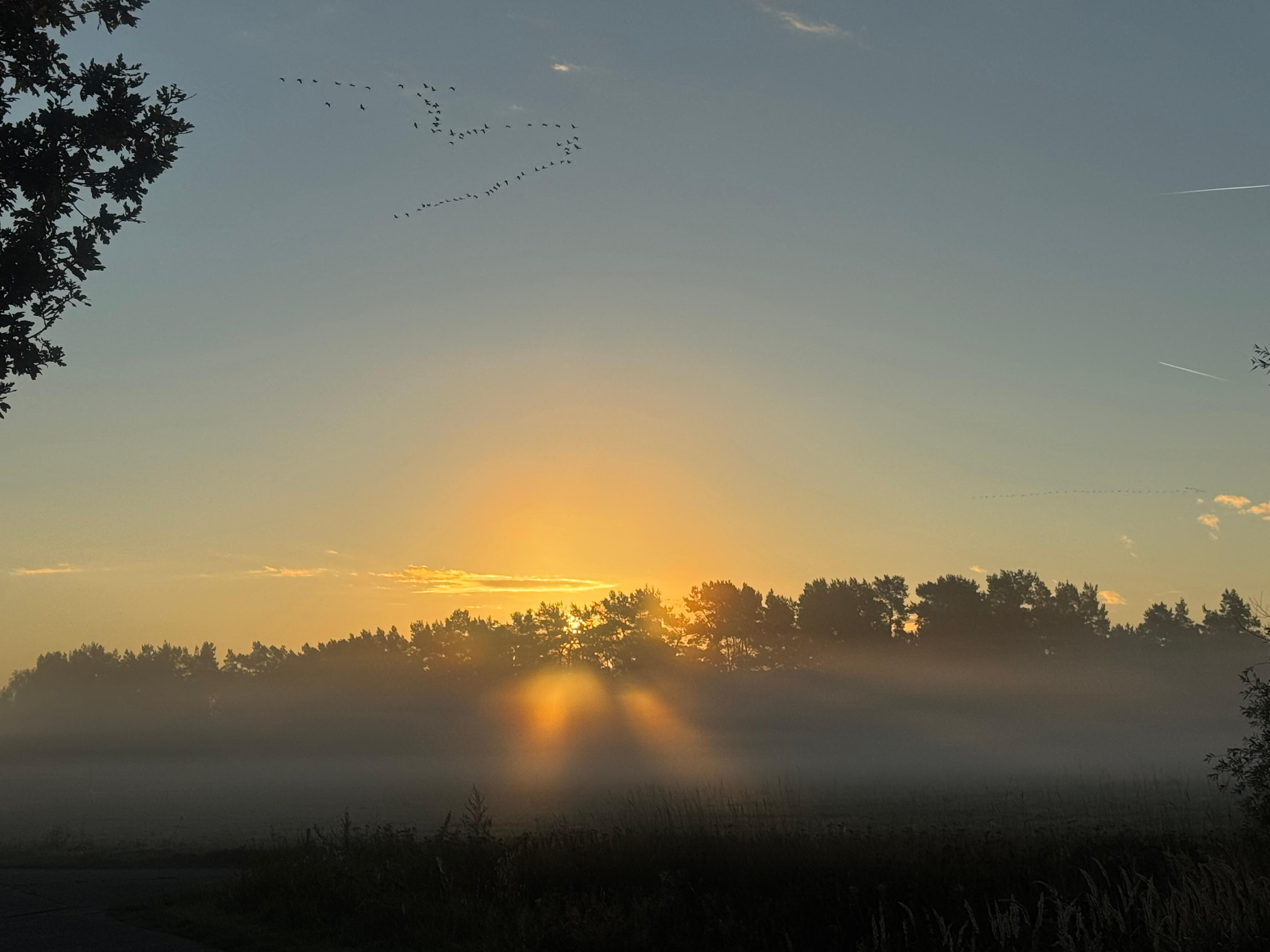Sonnenaufgang unweit vom Haus