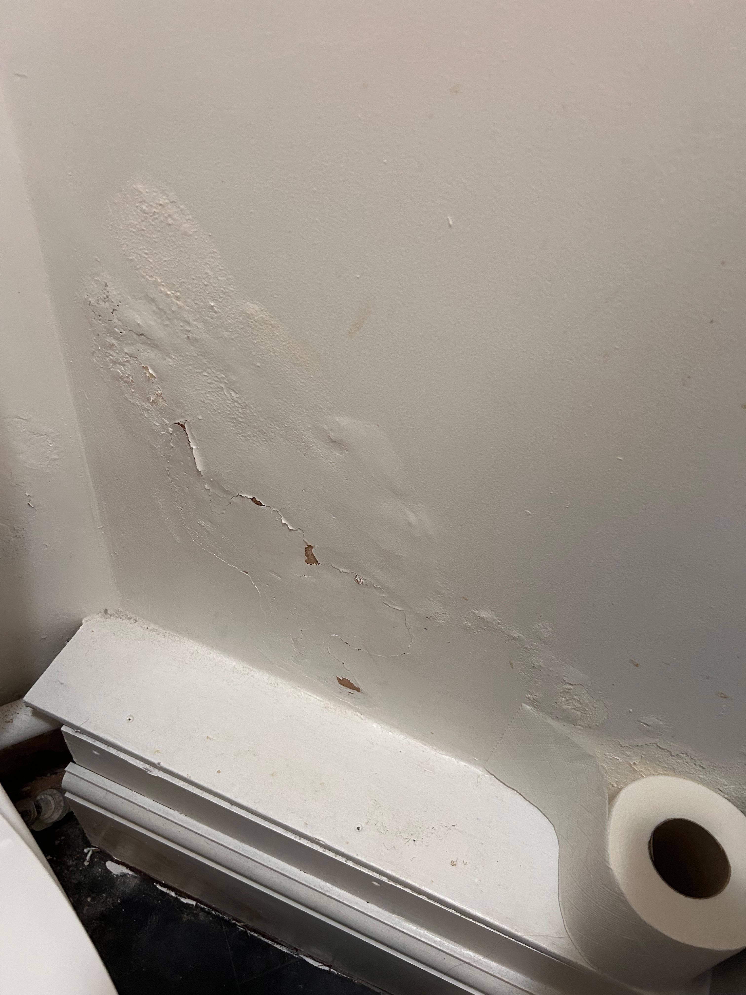 Damp