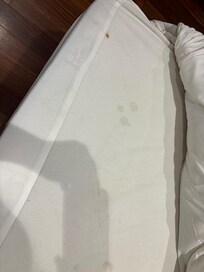 Mattress pad with stains and bodily fluids #3