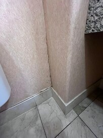 The bathroom wall by the toilet - yes that's mold
