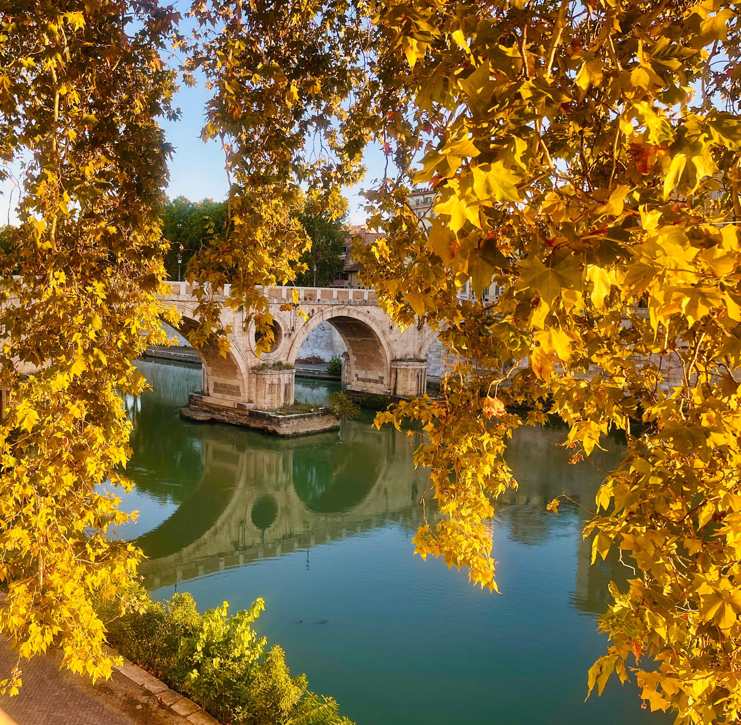 More views along Tiber River sunrise