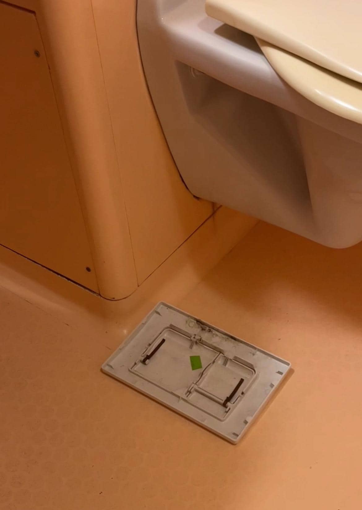 Toilet flush button