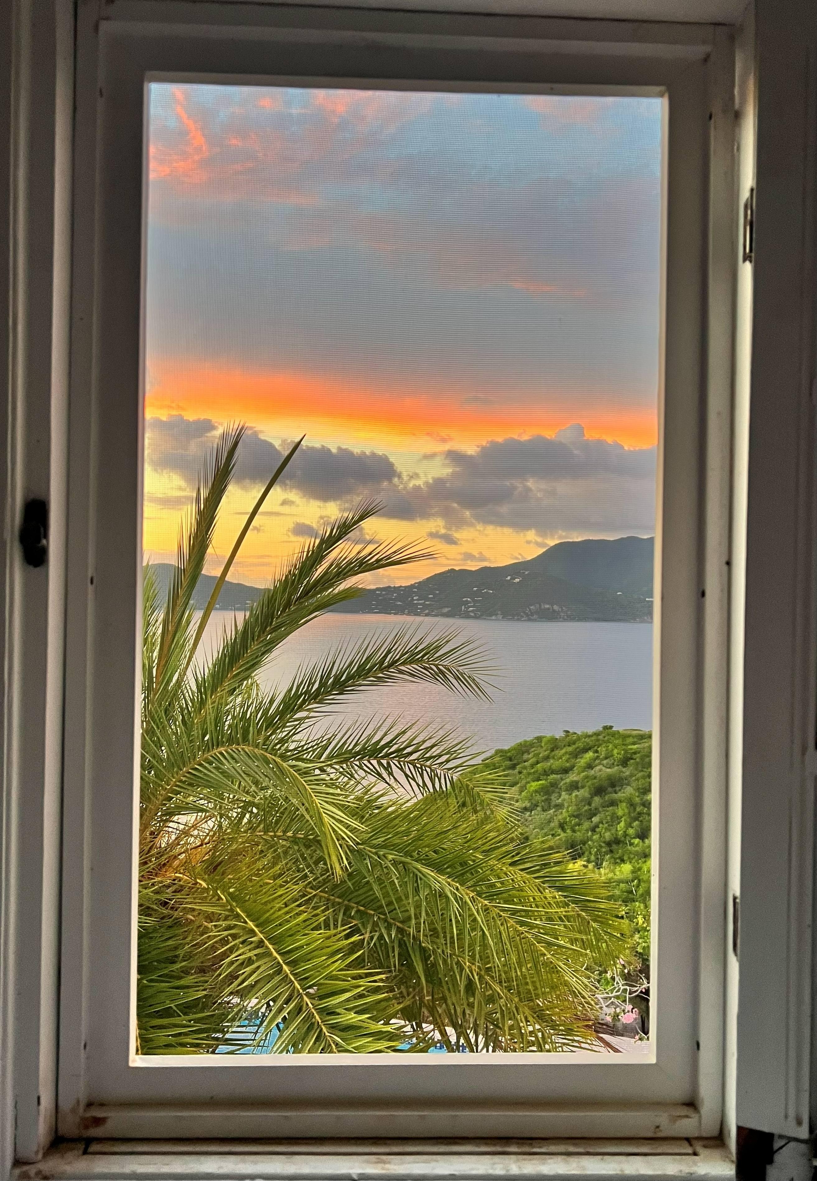 My room with a view. 