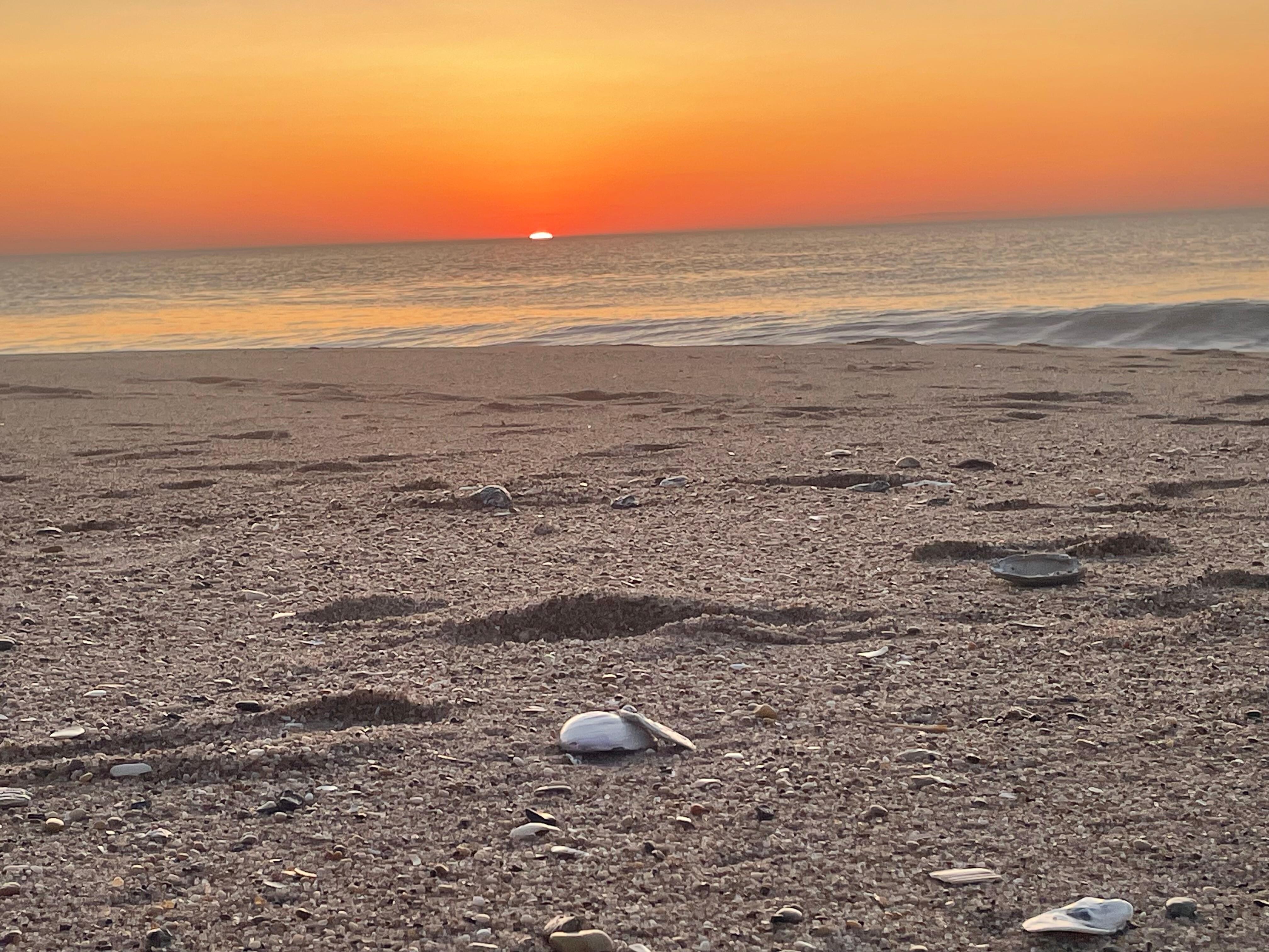Sunrise 