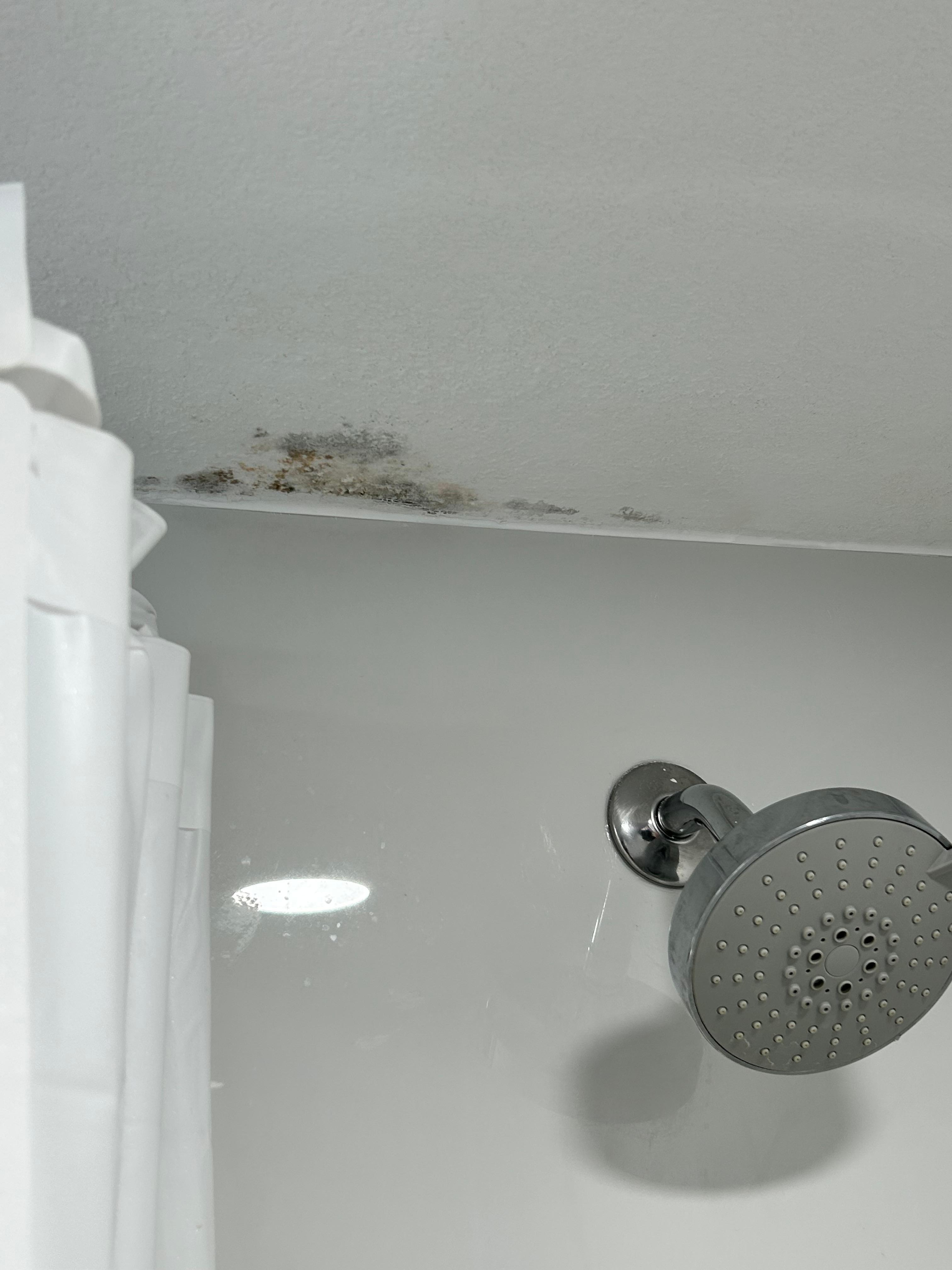 mold on ceiling