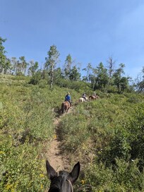 Del's Ranch