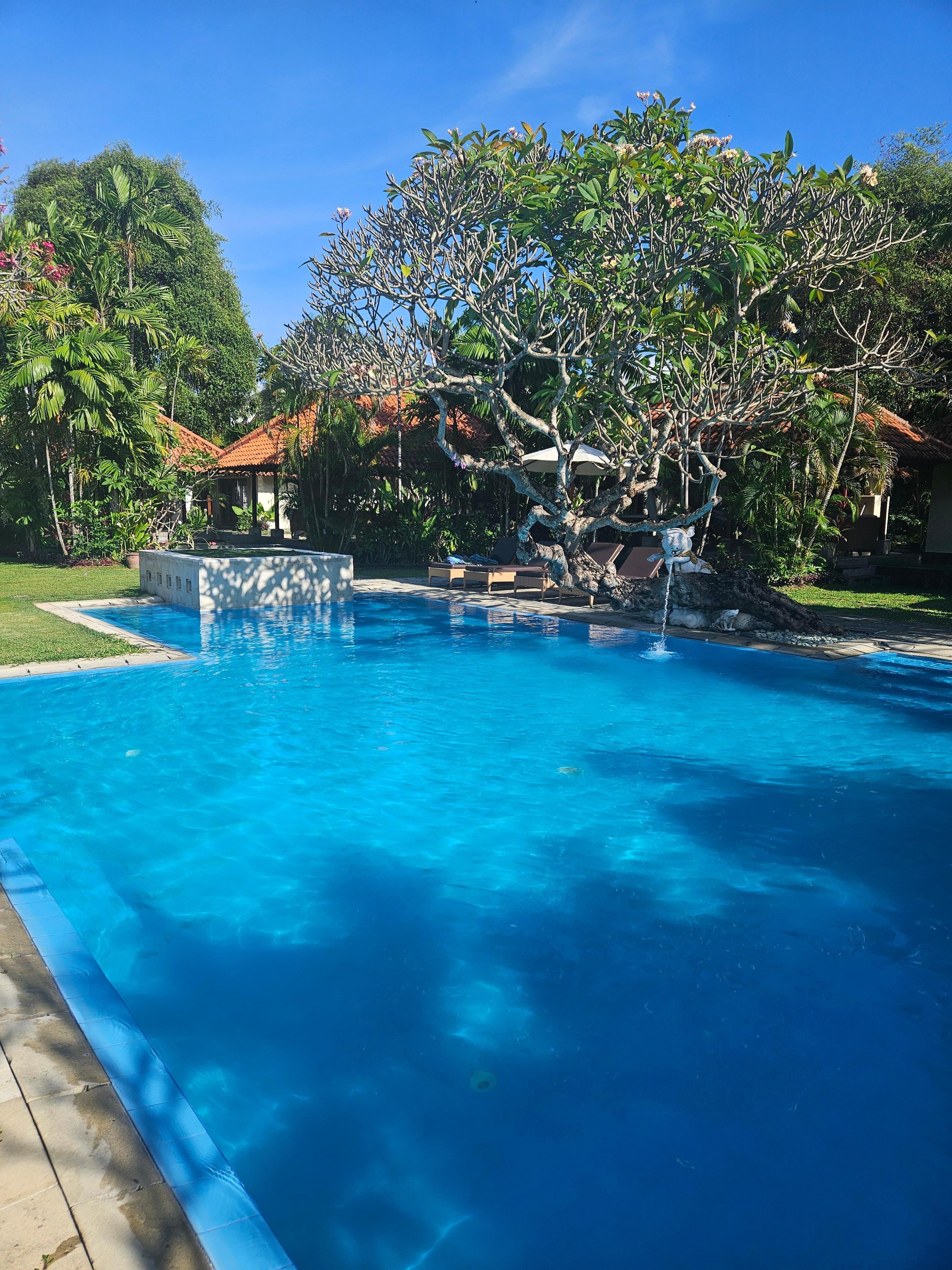 Beautiful pool