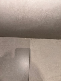 Hair in bathroom (and everywhere else)
